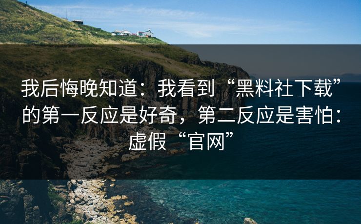 我后悔晚知道：我看到“黑料社下载”的第一反应是好奇，第二反应是害怕：虚假“官网”